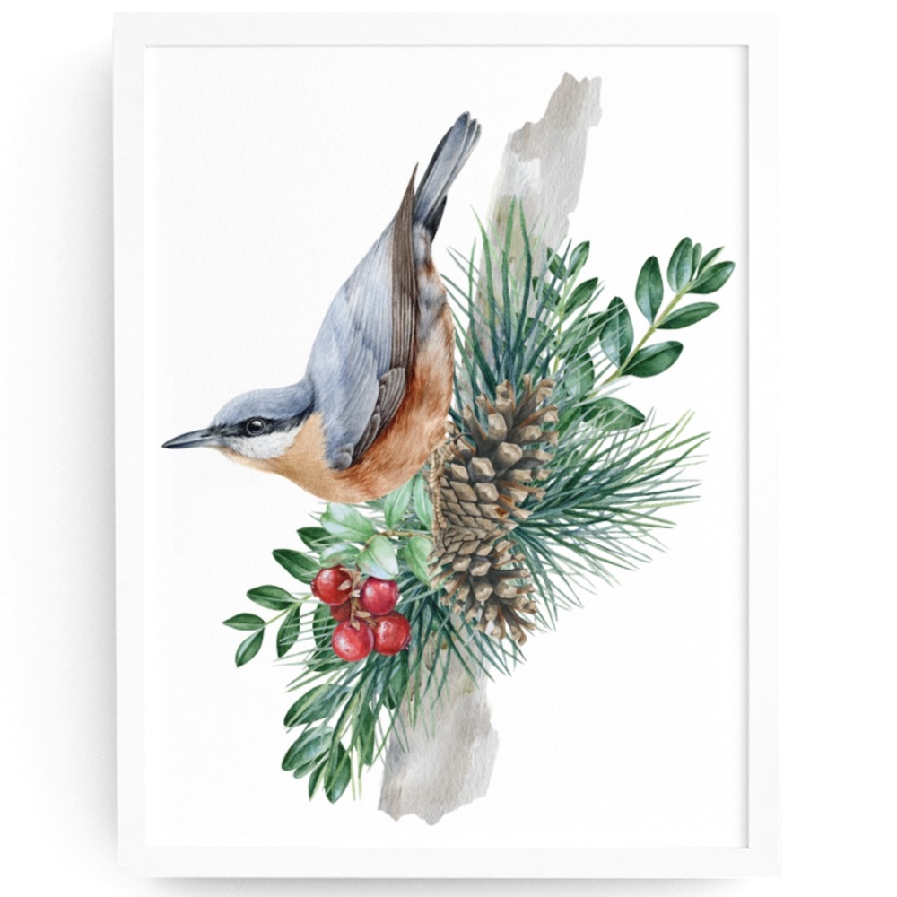 Nuthatch Bird Wall Art Watercolor Illustration Print Poster Card Unframed - Picture 1 of 7